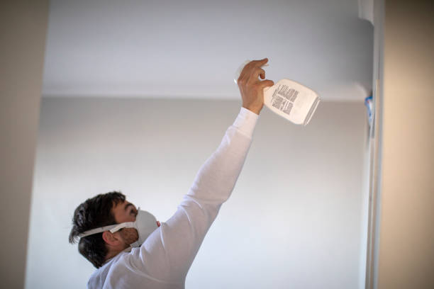Best Crawl Space Mold Removal  in Tickfaw, LA