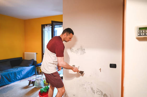 Best Mold Cleaning Services  in Tickfaw, LA